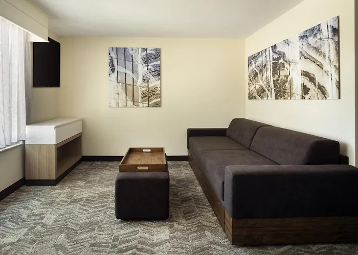 Springhill Worth Hotel Fort Worth